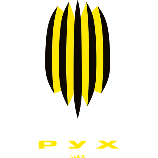 Rukh Vynnyky